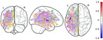 Semiparametric and Graphical Models